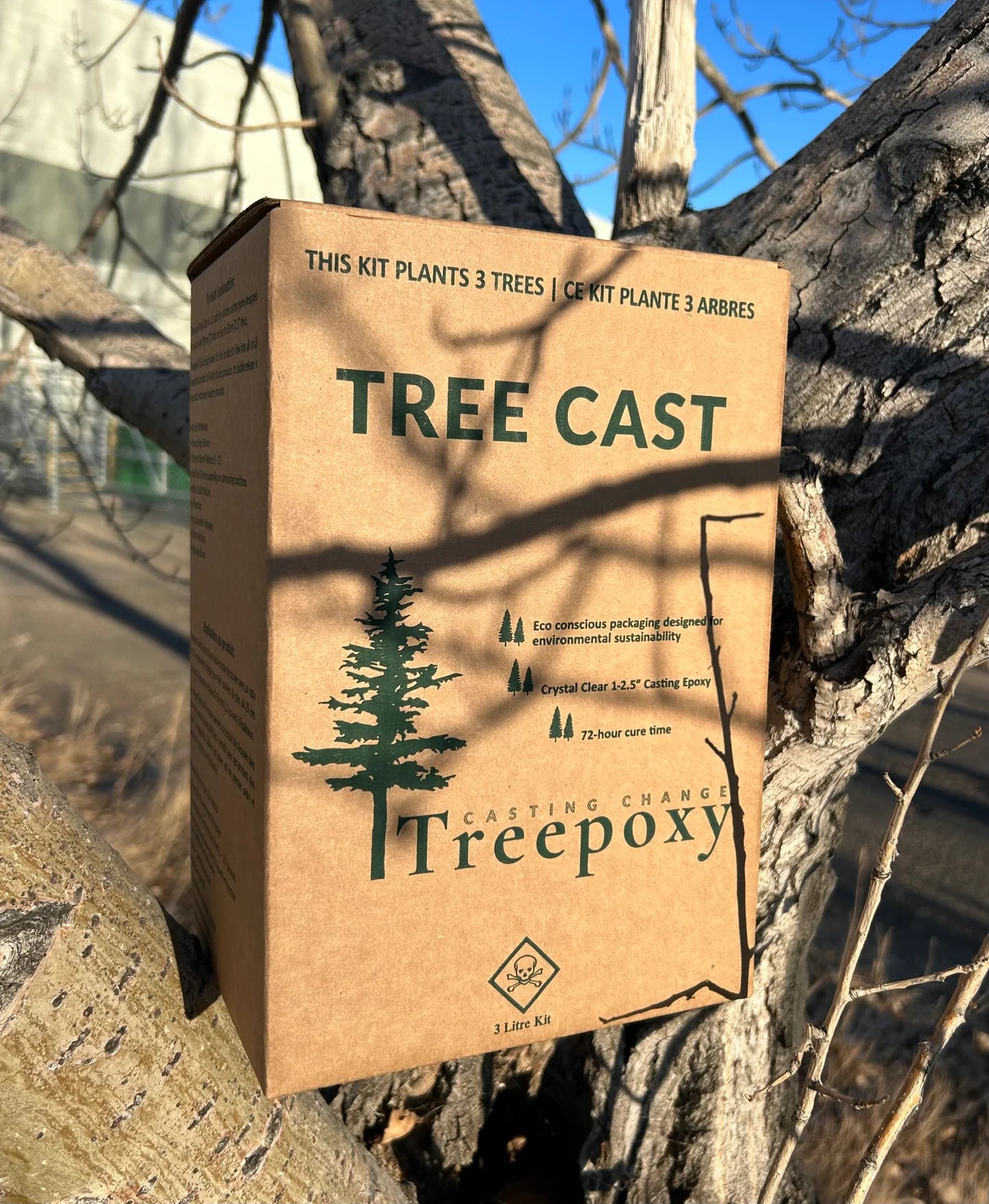 TreeCast 1